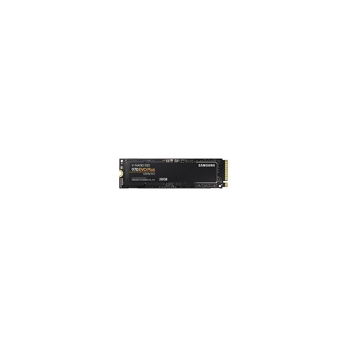 pint Dripping Pump Samsung SSD 970 EVO Plus 250GB M.2 NVMe