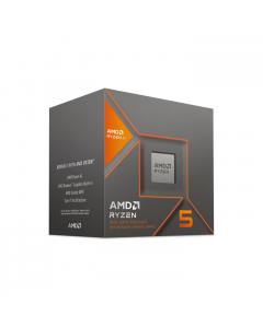 AMD Ryzen 5 8600G Box