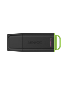 Kingston DataTraveler Exodia G2 256GB