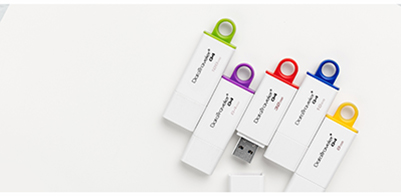 Kingston DataTraveler Series